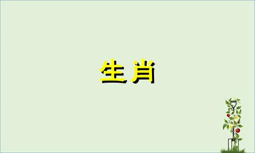 属鼠人2023年的幸运数字是多少？