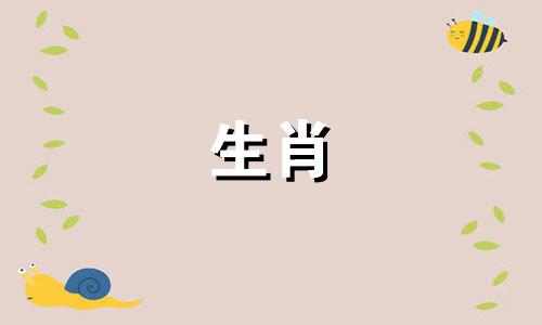 2023年出生的兔年女孩如何取名，出生后几个月？