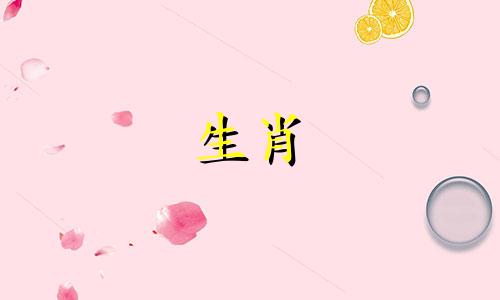 2023年猪年运势如何关注农历五八月？