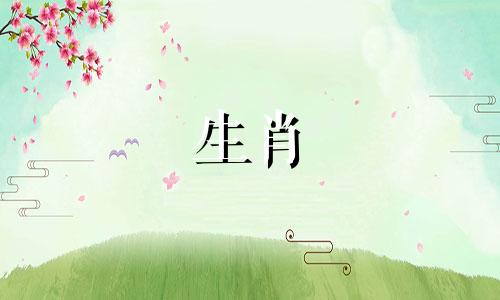 2023年属狗的贵人天一是谁？全年运势如何？