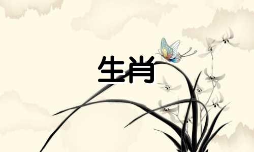 属兔人2023年可以结婚生子吗?