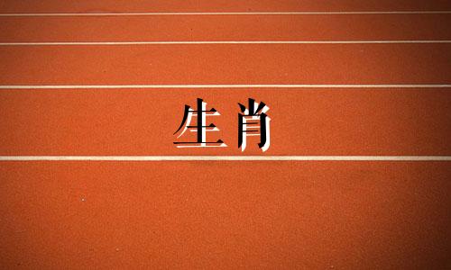 属兔人2023年上半年事业运势详解：今年有哪些禁忌？