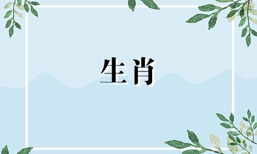 如果鼠年和马年出生的人财运不相配，那么他们在一起会怎么样呢？