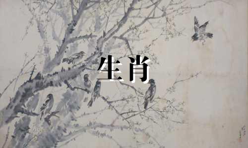 属马人2023年运势详解，财运亨通