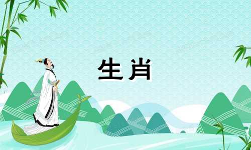 鼠与蛇的姻缘如何？鼠与蛇的事业运如何？