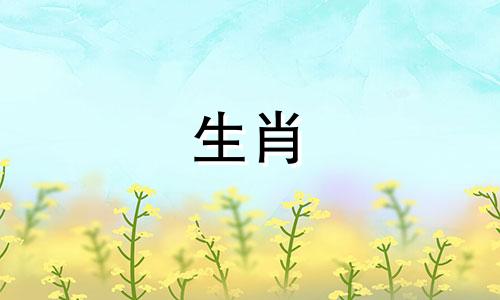 鼠年出生的人结婚后如何相处融洽？