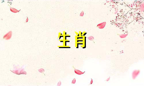 11月属猴人的运势如何？