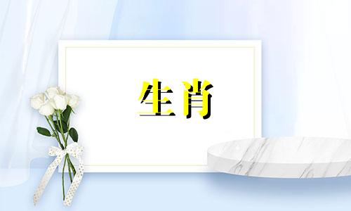 2023年1月到12月，属马人什么时候结婚最吉利？
