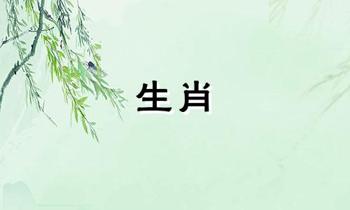 2023年1月至12月属蛇人结婚吉日必读清单！