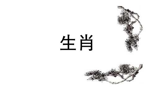 2008年是什么生肖？哪个生肖是终身贵人？