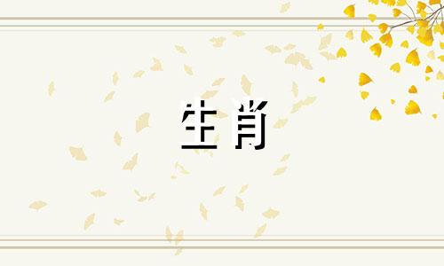 98年是哪一年？你今年几岁了？哪个星座是最好的配偶？