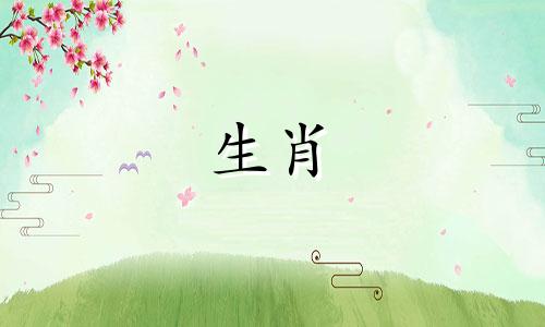 哪些生肖在2023年开始会有好运呢？