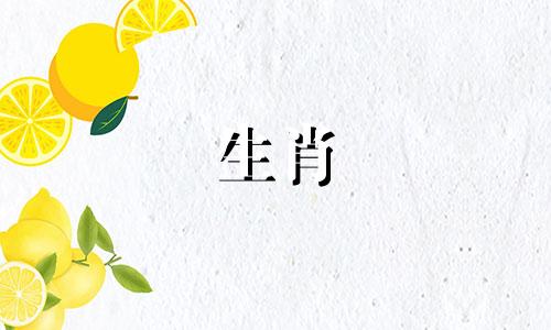 属虎人2023年的运势如何？