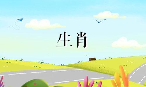 2023年属兔的幸运色是什么，属兔的吉祥物是什么？