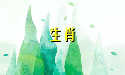 1984年鼠年什么时候好运，什么生意最旺？