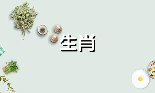 二婚中的生肖兔是谁？属兔人第二次结婚是哪一年？