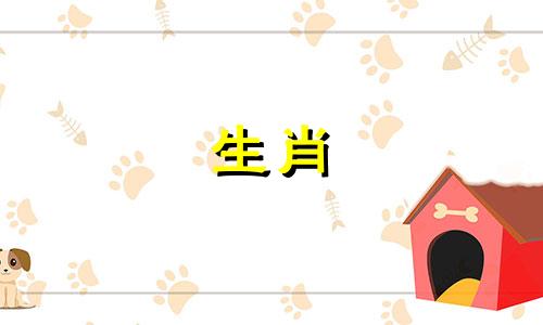 生肖虎未来三年运势揭晓,2023-2025