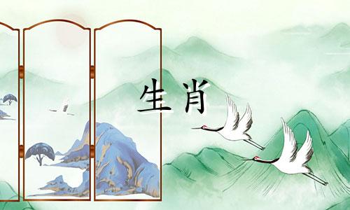 2023年出生的属兔人好不好?哪个时间出生最好?