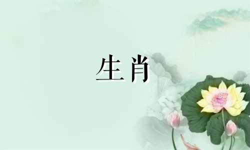 属兔的婚姻禁忌和生肖有哪些？为什么人们说兔年出生的人运气不好？