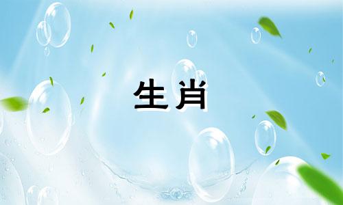 属兔人今年几岁了，2022年属兔人的最佳配对是什么？