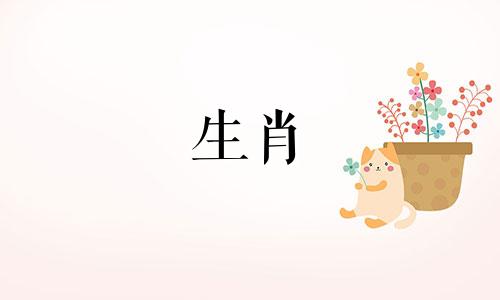 2023年是什么生肖，什么月份最适合生兔子？