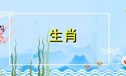 属虎的人与哪个生肖最配？这些都是一些很棒的。