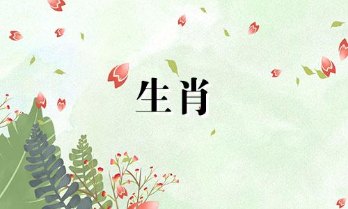 明年是什么生肖，2023年这个生肖的运势如何？