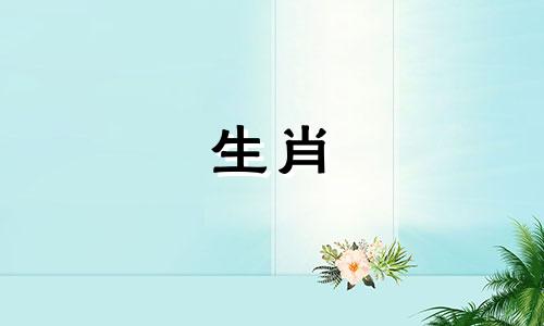 2022年狗年出生的人今年多大了？狗年下半年将有大事发生