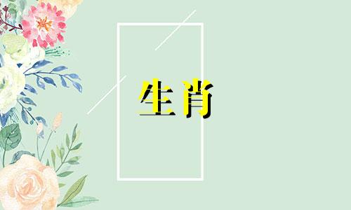 1999年属兔人是什么生肖，2023年属兔人的运势如何？