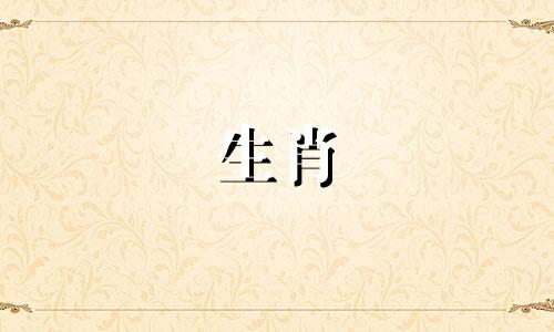 2023年属猪人可以建房吗？属猪人在2023年会有好运吗？