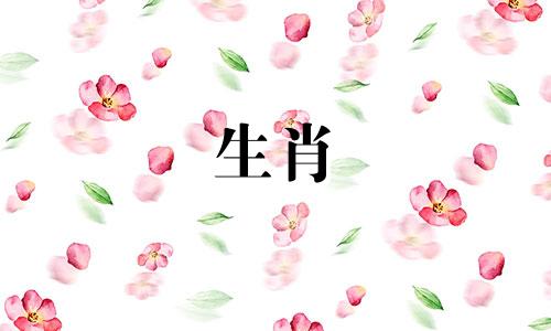 羊年出生的人今年几岁了？属羊人2023年的财运方向是什么？