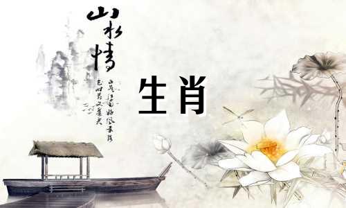 属马人2023年的运势如何?属马人一生中最脆弱的人是谁?