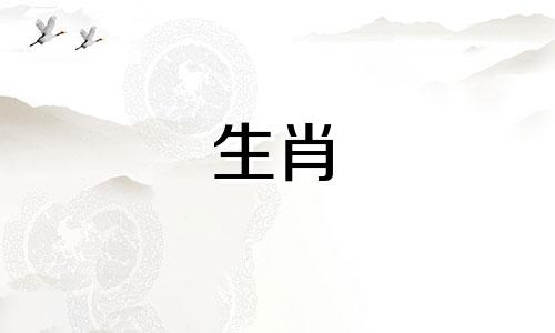 2002年你属于什么星座，2023年你的运势如何？