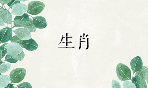 2023年属虎人的贵人是谁？职业帮助不可或缺