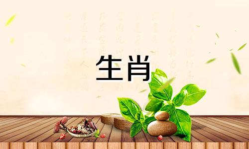 2023年的生肖马是兔年。属马的人在2023年是幸福快乐的一年。