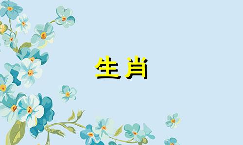 属兔人2023年的命运如何？属兔人2023年的运势如何？
