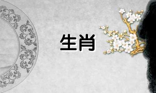 八月份出生的兔子适合吃吗？属兔人与属猪人的婚姻