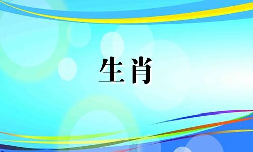 兔年12月出生的人命运如何？属兔和属蛇的生肖配吗？
