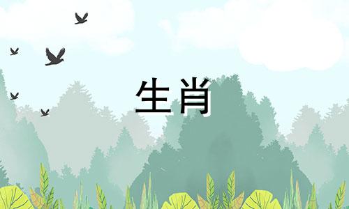 2023年4月的兔宝宝好不好?十二生肖几月出生的属兔人最好?