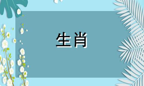 62年出生的属虎人最适合什么生肖？