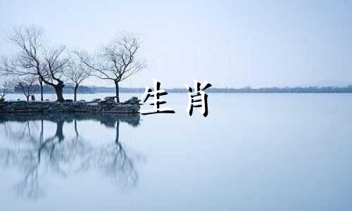 不同月份出生的狗的运势。属狗人几月份出生比较好?