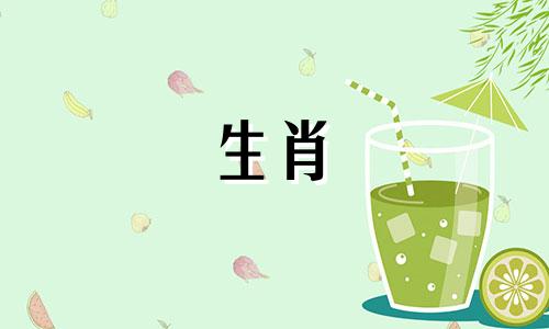 2004年属猴人的命运如何? 2004年出生的属猴人几月份出生最好?