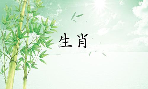 如何查看属龙年出生的人的婚姻命运