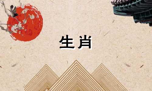 兔年出生的人命运如何？