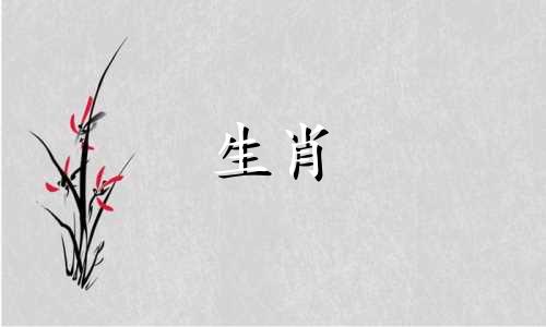 小蛇的完整名称列表。给女孩子给蛇宝宝起名应该用什么字呢?