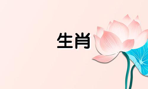 属蛇的人一定要警惕一个人