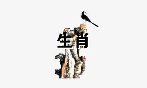 属蛇的女人为何如此美丽？