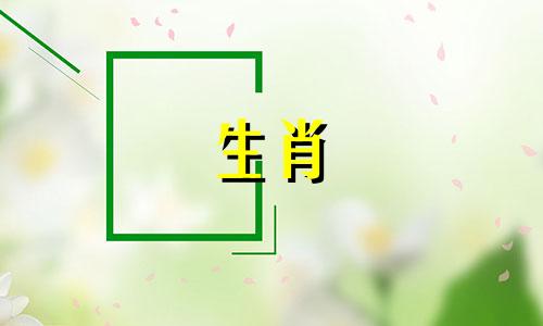 虎年出生的人哪一天最好？