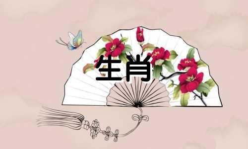 蛇年穿什么化解太岁的刑罚