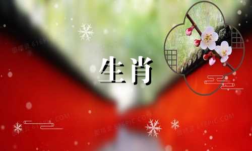 属猪人2023年的运势如何？